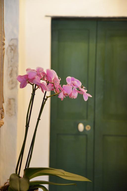 La Terrazza Di Vico Olivi B&B Βεντιμίλια Εξωτερικό φωτογραφία